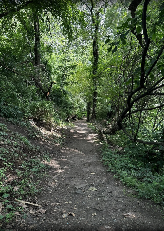 Quiet, shaded, and just rough enough