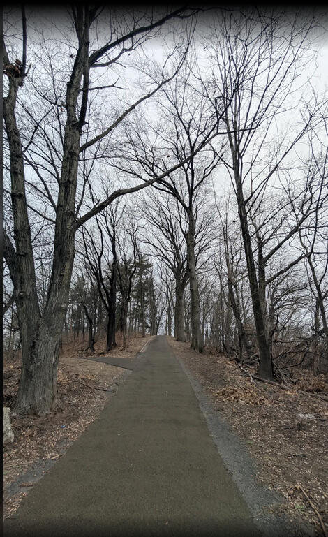 Walking this trail at Weequahic Lake