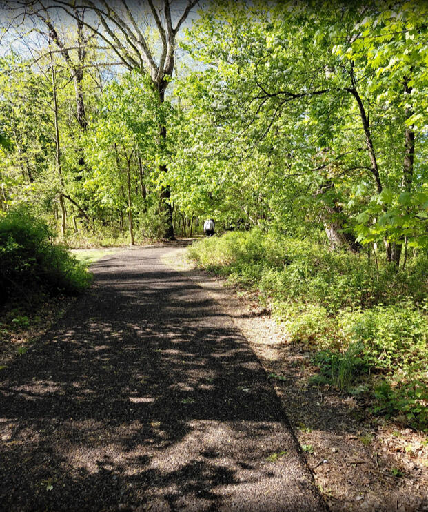 Sun-dappled path in Branch Brook Park.