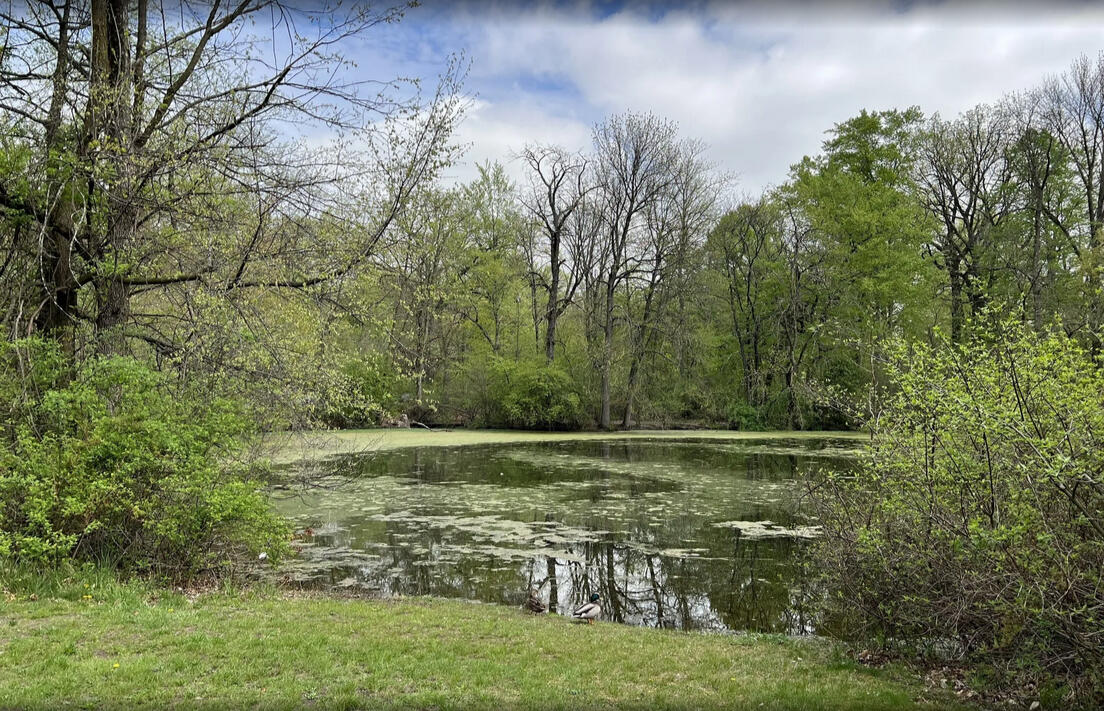 Branch Brook Park Lake